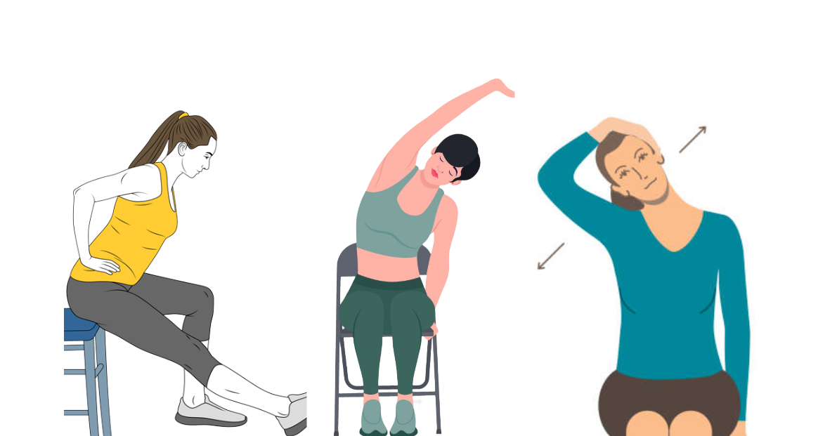 Seated Stretches