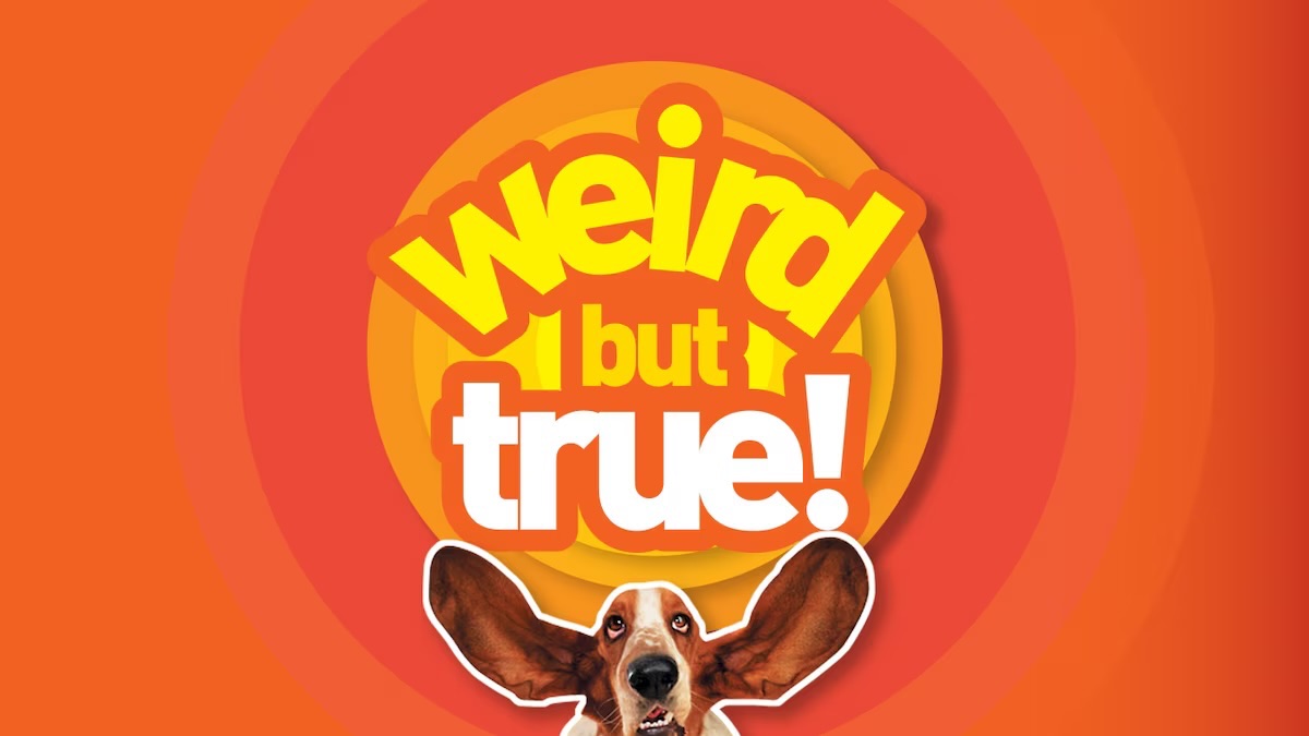 Weird but True Fun Facts of the Universe